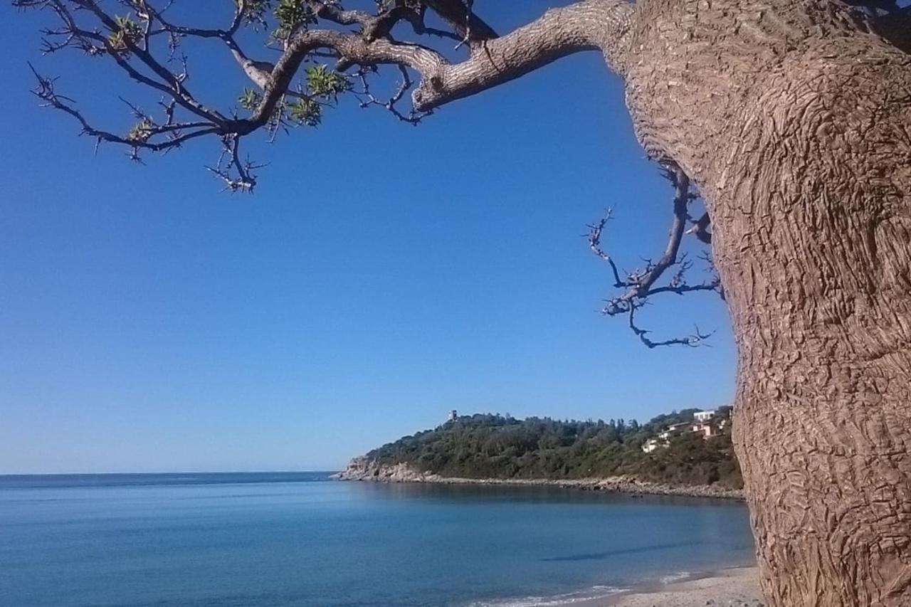 Un Po Di Relax A Pochi Passi Dal Mare! Apartment อาร์บาตักซ์ ภายนอก รูปภาพ